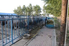 鸵鸟油的用法_鸵鸟油的牌子_鸵鸟油的应用,进口鸵鸟油