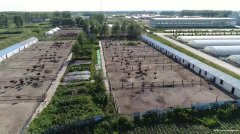 抹了鸵鸟油是什么感觉?