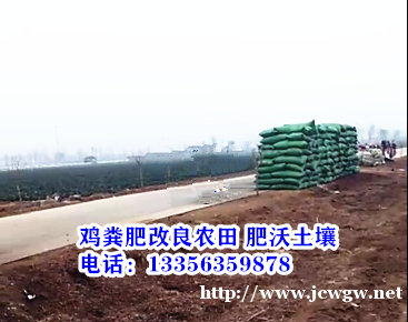 山东鸡粪,稻壳粪,济南鸡粪,商河发酵鸡粪,济阳袋装鸡粪好使 山东鸡粪,稻壳粪,济南鸡粪,商河发酵鸡粪,济阳袋装鸡粪好使