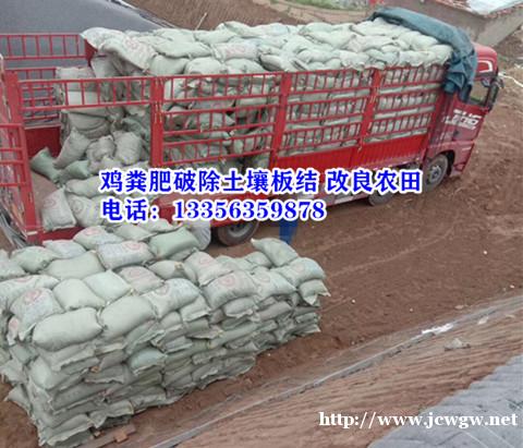山东鸡粪,稻壳粪,济南鸡粪,商河发酵鸡粪,济阳袋装鸡粪好使 山东鸡粪,稻壳粪,济南鸡粪,商河发酵鸡粪,济阳袋装鸡粪好使
