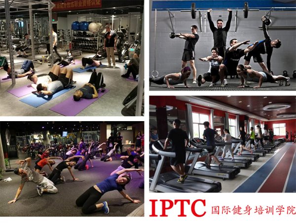 IPTC国际健身学院 IPTC国际健身学院