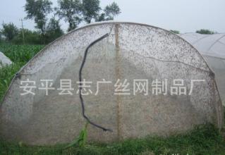 蚂蚱养殖拱形棚纱网25目宽幅大厂家厂批直供 蚂蚱养殖拱形棚纱网25目宽幅大厂家厂批直供