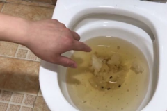 李师傅告诉你泉港疏通马桶是什么导致马桶堵塞？