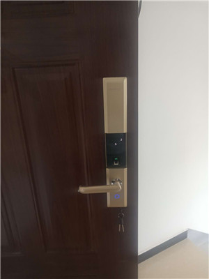 全自动智能门锁的正确打开方式,分享锁芯如何维护呢? 全自动智能门锁的正确打开方式,分享锁芯如何维护呢?