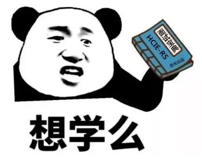 在华为干了11年6个月之后,我选择了考取数通HCIE认证镀金 在华为干了11年6个月之后,我选择了考取数通HCIE认证镀金