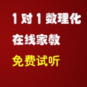 寒假优惠1对1网络家教，在职老师上课，数理化教学