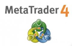 外汇平台搭建选择主标还是白标好?