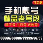 上海联通花呗合约套餐 每月116包1000分钟+60GB全国