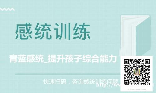青蓝感统训练孩子感统训练机构 青蓝感统训练孩子感统训练机构
