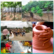 江夏亲子游攻略好去处，市场火热的游园小假期