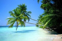 海南购房社保或个人收入调节税