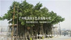 仿真榕树大树厂家批发