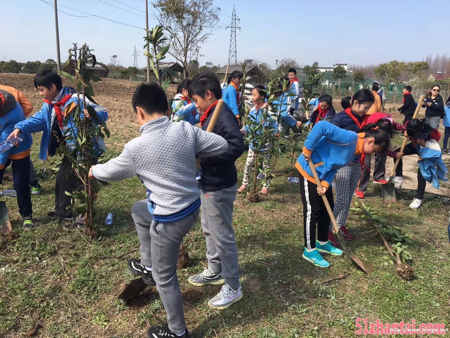 户外植树活动是一个很好的选择! 户外植树活动是一个很好的选择!