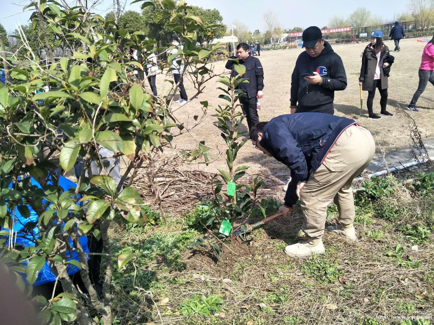 户外植树活动是一个很好的选择! 户外植树活动是一个很好的选择!