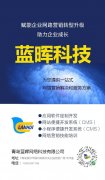 青岛蓝晖网络科技有限公司为企业提供网站建设和微信小程序开发