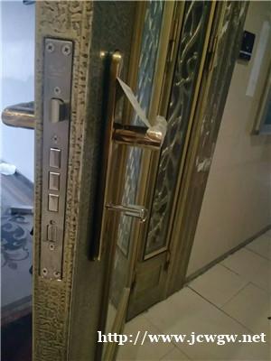 怎么样清除锁眼李的污垢? 怎么样清除锁眼李的污垢?