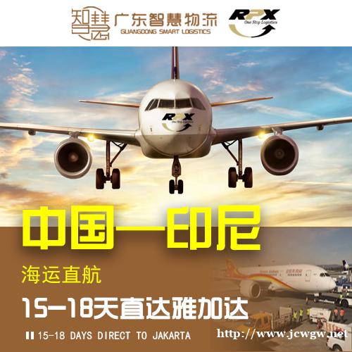 防疫物资发货到印尼的专线货运运输 防疫物资发货到印尼的专线货运运输