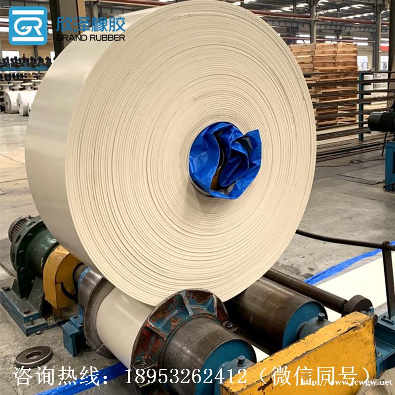 白色尼龙输送带 白色尼龙输送带