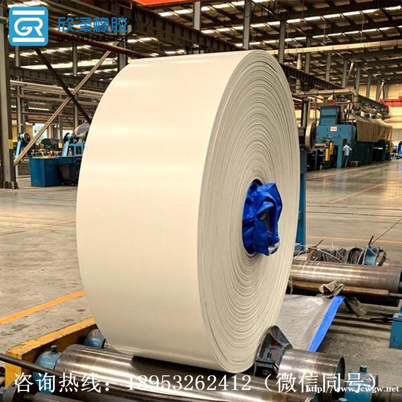 白色尼龙输送带 白色尼龙输送带