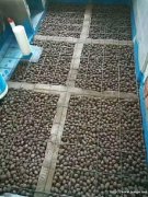 云南昆明陶粒厂家