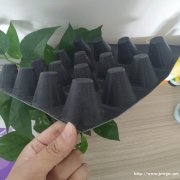天津车库排水板 绿化排水疏水板 供应
