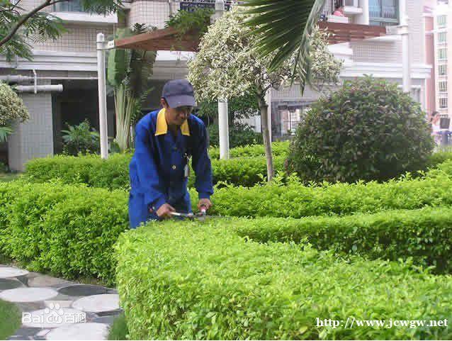 企事业单位日常保洁绿化养护项目为什么要托管 企事业单位日常保洁绿化养护项目为什么要托管