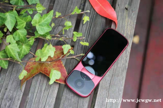 科大讯飞翻译机3.0-走到哪译到哪 科大讯飞翻译机3.0-走到哪译到哪