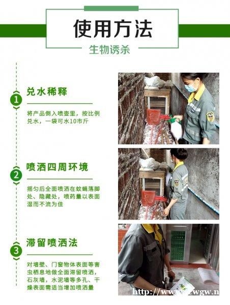 猪圈灭蝇药无毒副的 猪圈灭蝇药无毒副的