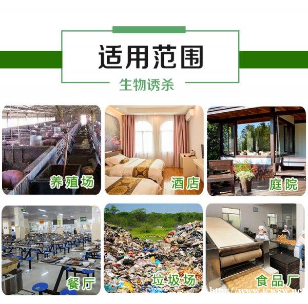 猪圈苍蝇蚊子杀灭方式 猪圈苍蝇蚊子杀灭方式