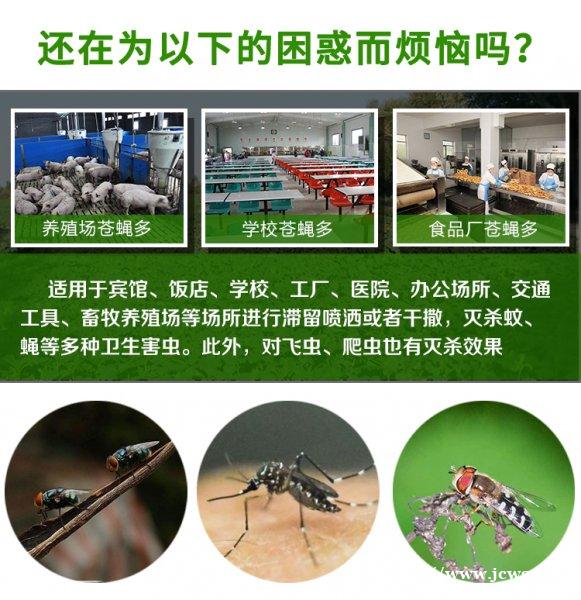 猪圈苍蝇蚊子杀灭方式 猪圈苍蝇蚊子杀灭方式