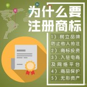 商标注册极速申请专业代理注册商标就选梧桐雨