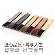 不锈钢旗形装饰线条