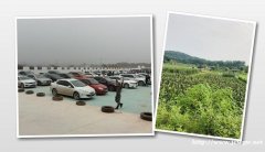 武汉公司一日游精品推送哪里找江夏乐农农家乐让你流连忘返