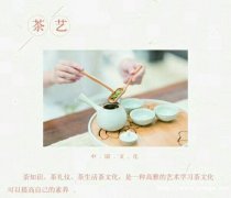 茶艺师培训课程