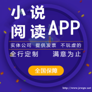 开发小说阅读app的发挥的作用,开发小说阅读app的费用