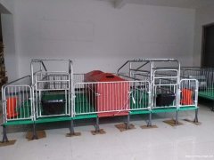 复合母猪产床单体母猪产床加重加厚猪用产床