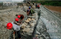 包塑石笼网 优质低碳钢丝石笼网 镀锌格宾网