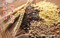 广州谷元堂种子配方加盟