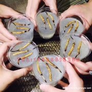 长沙燕窝虫草专卖店||长沙虫草批发,长沙燕窝批发!