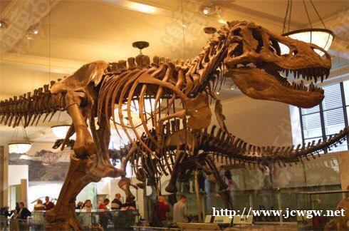 道具租赁仿真恐龙展 道具租赁仿真恐龙展