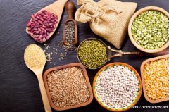 谷元堂无糖食品种子配方怎么加盟？