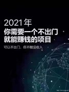 蓝海项目金刚指营销软件招商加盟单人月入过万总部扶持