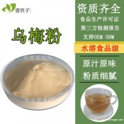 乌梅提取物壹贝 固体饮料速溶食品级批发现货供应乌梅汁粉乌梅粉