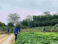 惠阳区适合团建的农家乐