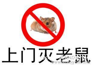 你对日常生活中老鼠对人的危害了解多少? 你对日常生活中老鼠对人的危害了解多少?