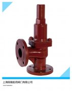 船用法兰铸铁直角安全阀CB304-1992