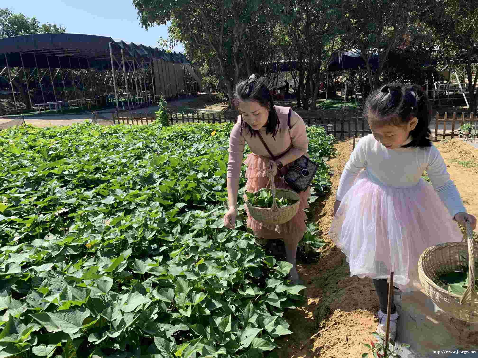 惠州元宵节聚餐首选果盛生态园 惠州元宵节聚餐首选果盛生态园