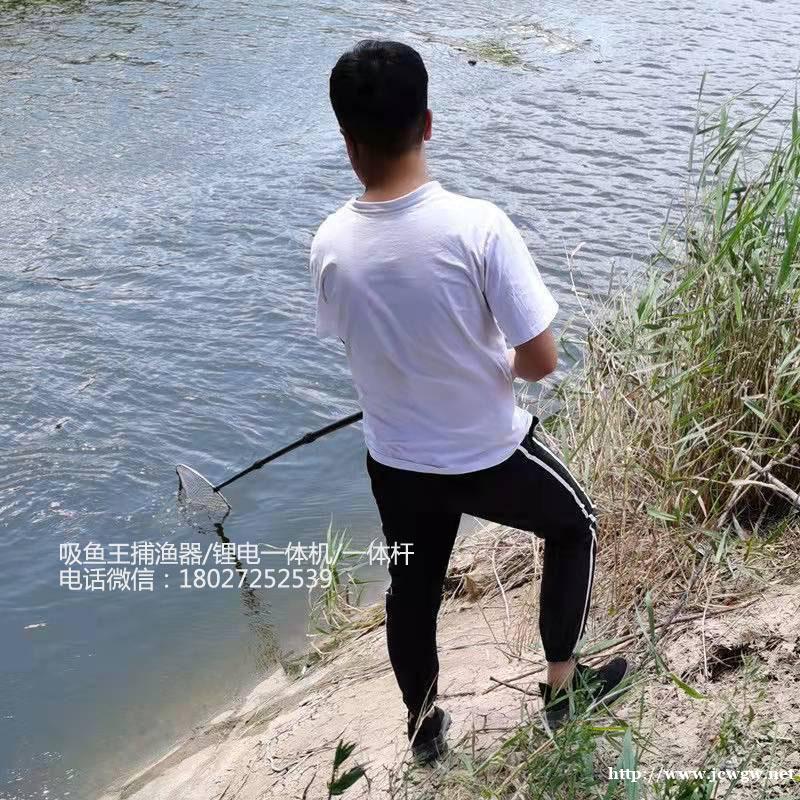 锂电一体杆,锂电一体杆批发、促销价格 锂电一体杆,锂电一体杆批发、促销价格