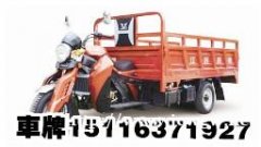 做车牌_专业专注做车牌照_车牌网