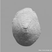 氟磺胺草醚95%原药厂家生产价格实惠量大从优 极速发货